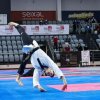 Чемпіонат і Першість Європи з тхеквандо